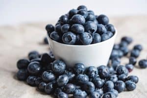 can cockatiels eat blackberries