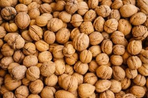 can cockatiels eat pecans