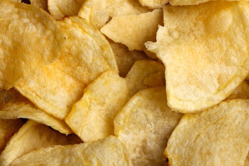 Can Cockatiels Eat Tortilla Chips