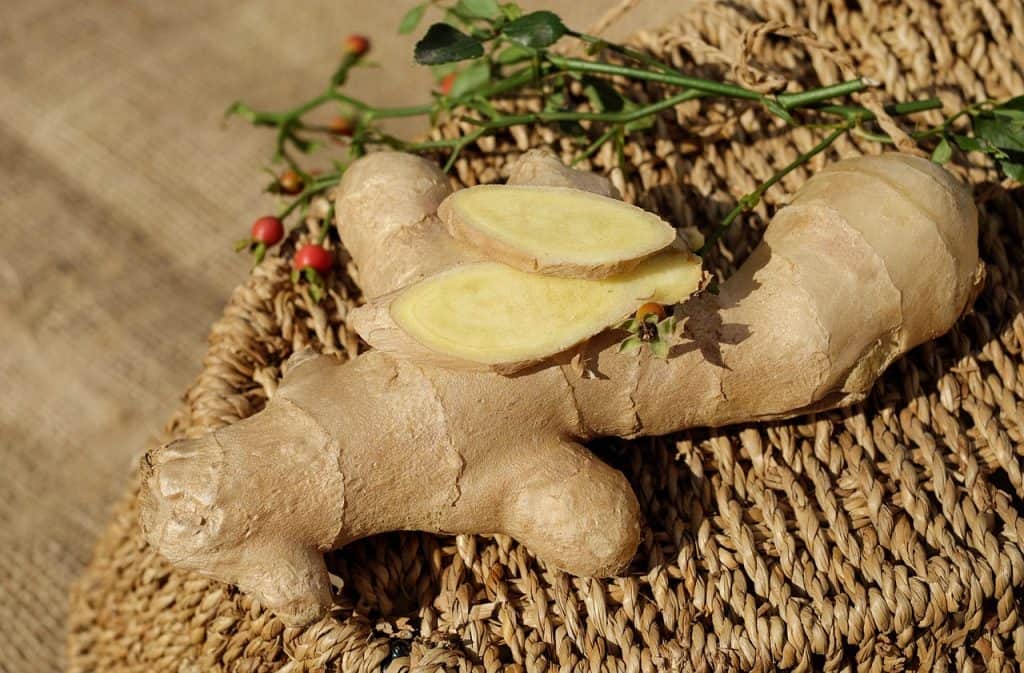 can cockatiels eat ginger