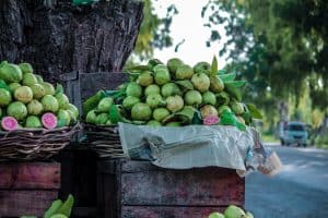 guavas