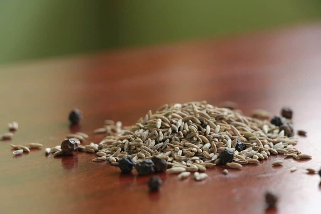bird seeds
